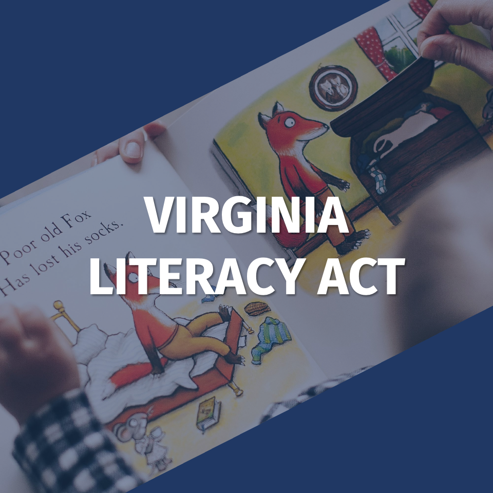 Button leading to the MERC research brief focused on the Virginia Literacy Act